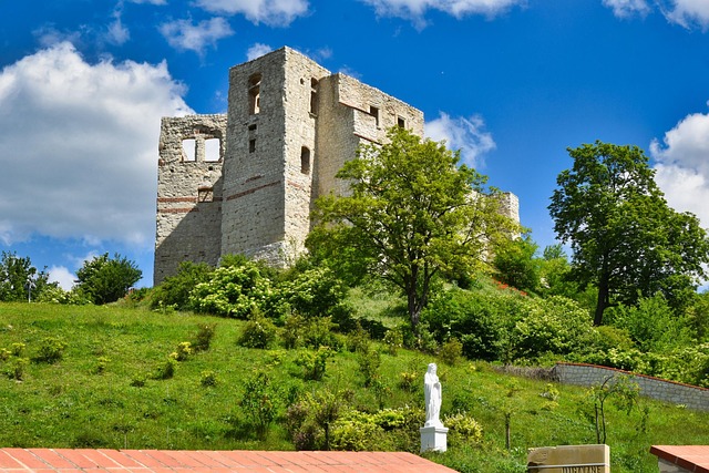 Free Castle Medieval photo and picture