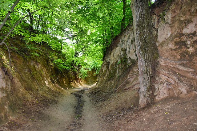 Free Poland Canyon photo and picture