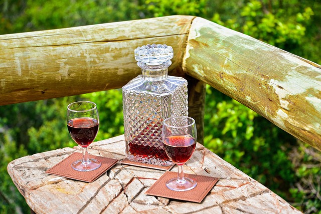 Free Wine Glass photo and picture