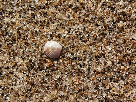 Free Macro Sand photo and picture