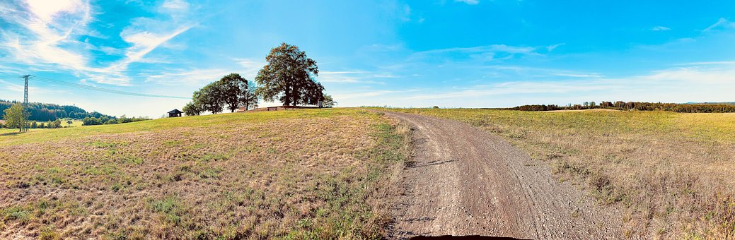 Free Panorama Hot Trees photo and picture