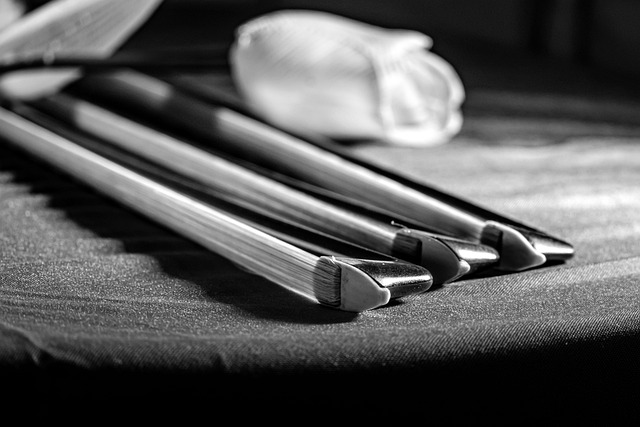 Free Cello Bows Cello photo and picture