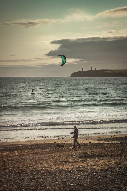 Free Sea Beach photo and picture