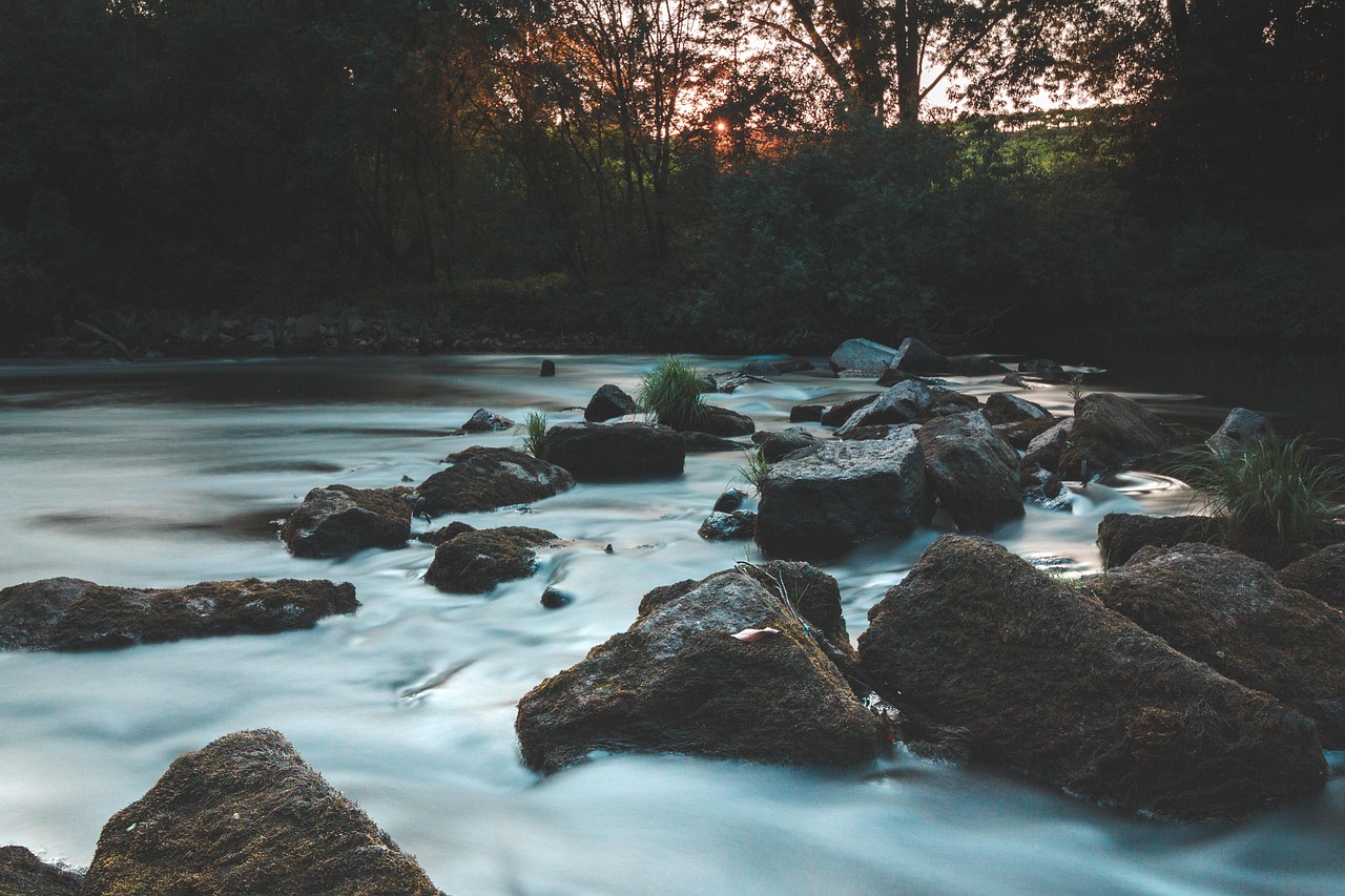 River Brook Forestry The - Free photo on Pixabay