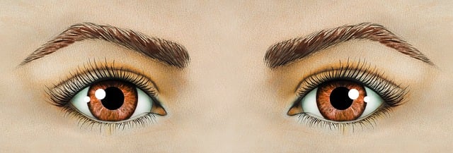 Free eyes eyelashes iris illustration