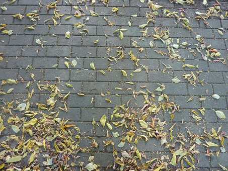 Free Pavement Stroll photo and picture