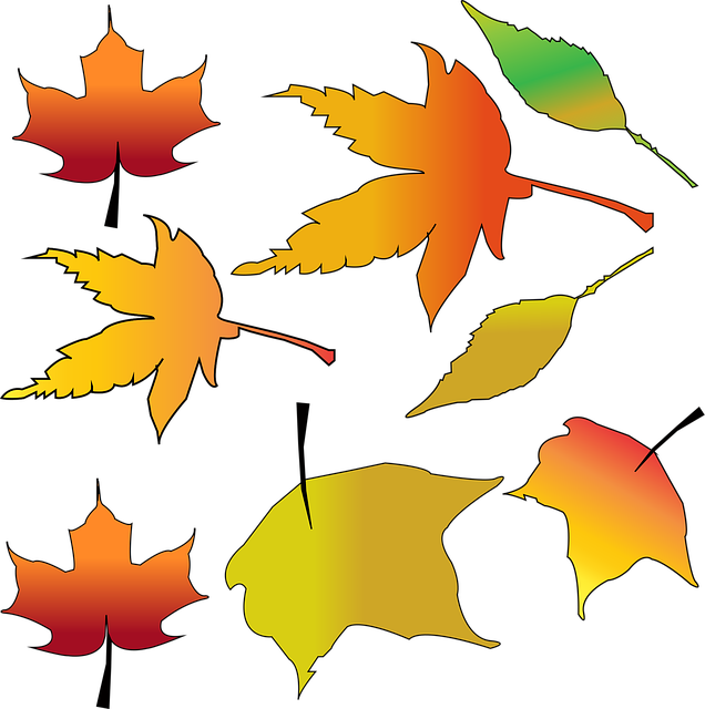 Blader, Anlegg, Natur, Løvverk, Flora