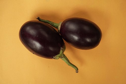 Aubergine, Weißer Hintergrund