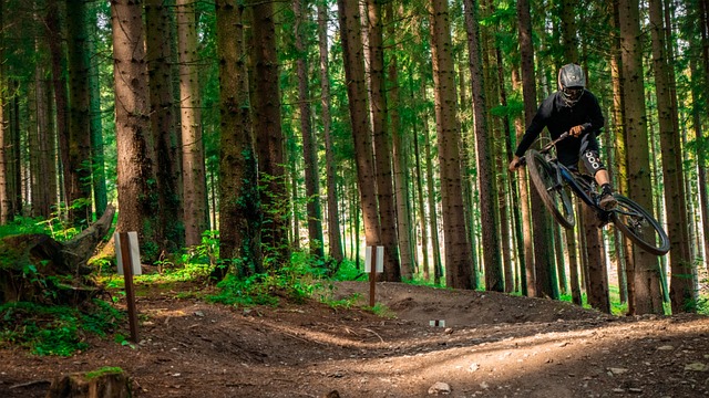 Mens, Fietser, Fiets, Bomen, Bladeren