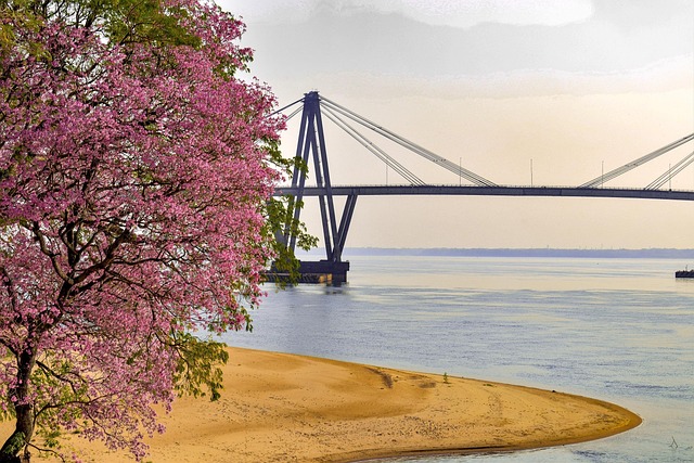Free Bridge River photo and picture