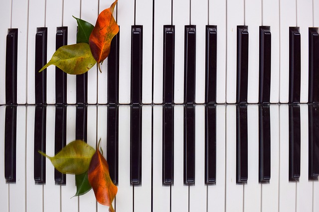 Free Music Piano photo and picture