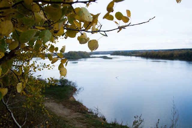 Free Nature Siberia photo and picture
