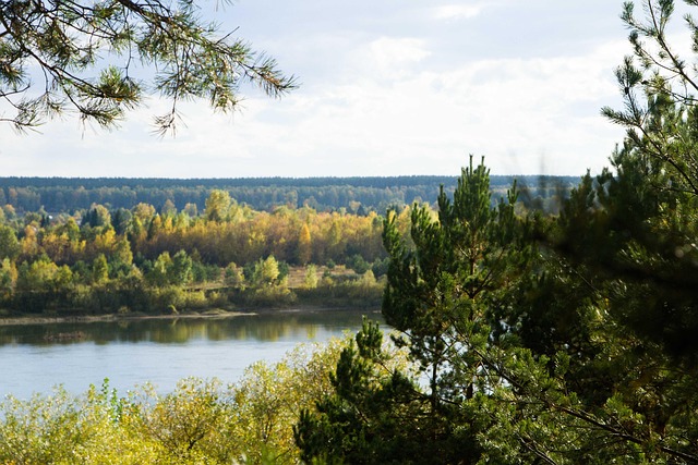 Free River Landscape photo and picture