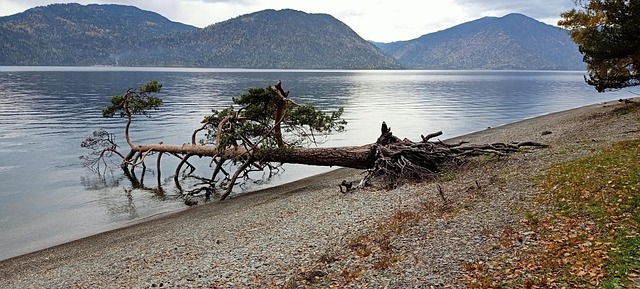 Free Altai Nature photo and picture