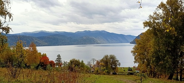 Free Lake Forest photo and picture