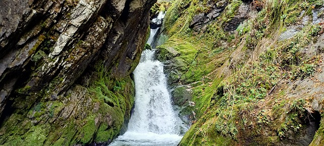 Free Waterfall Nature photo and picture