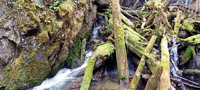 Free Waterfall River photo and picture