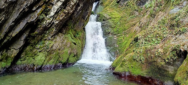 Free Waterfall Altai photo and picture