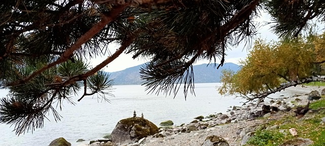 Free Altai Lake photo and picture