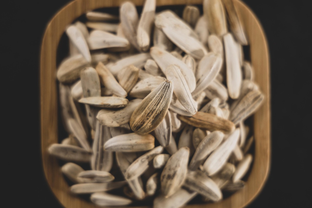 Sunflower Seeds Fruit Snack Free photo on Pixabay Pixabay