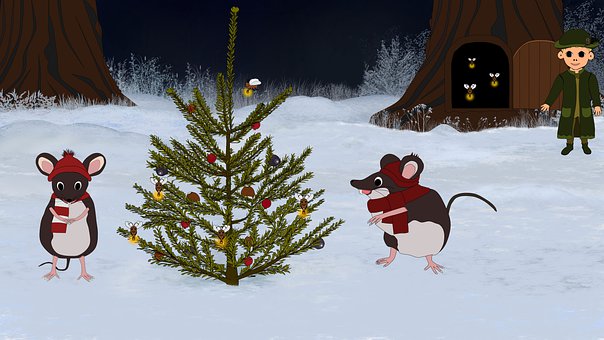 Jul, Vinter, Sne, Nat, Skov, Træ
