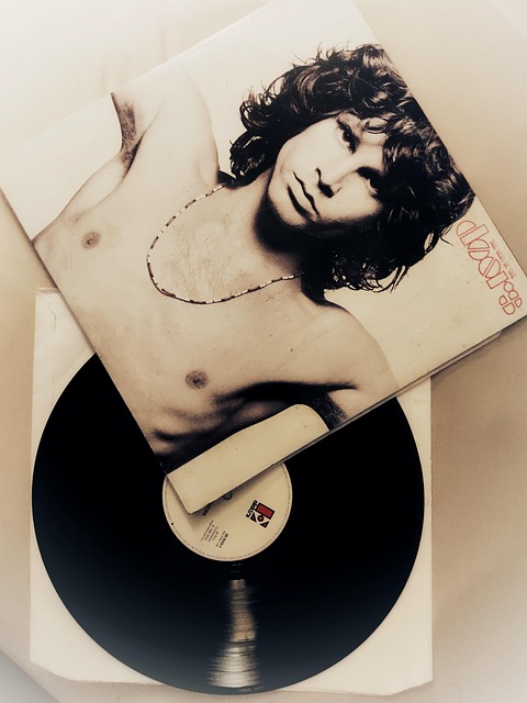 Free Vinyl Rock photo and picture