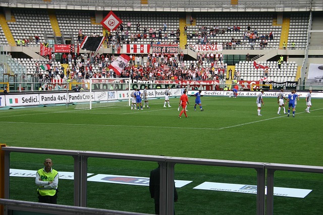 Free Lrvicenza Juventus photo and picture