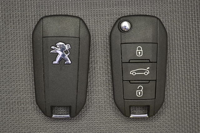 Free Carkey Autokey photo and picture
