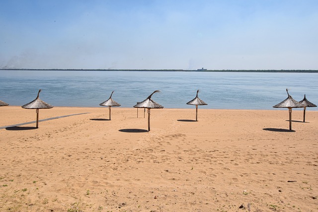 Free Beach Umbrellas photo and picture