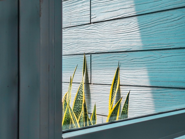 Free Cool Window photo and picture