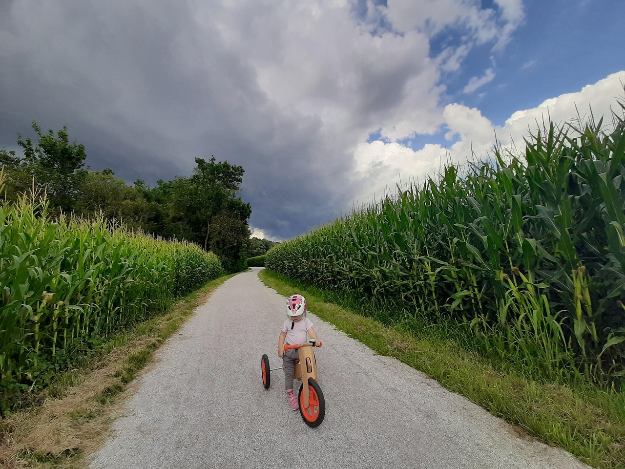Corn Road Country - Free photo on Pixabay - Pixabay