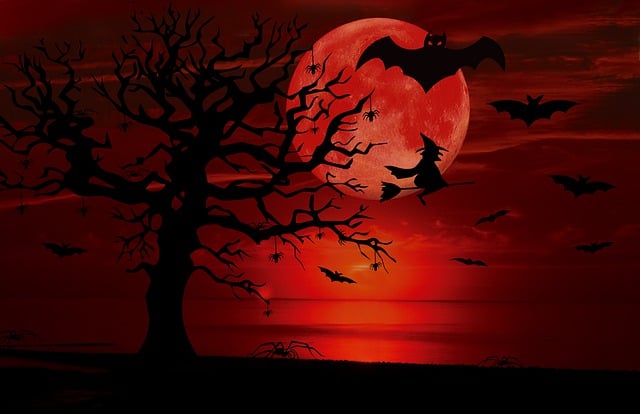 Free bats be crazy witch illustration