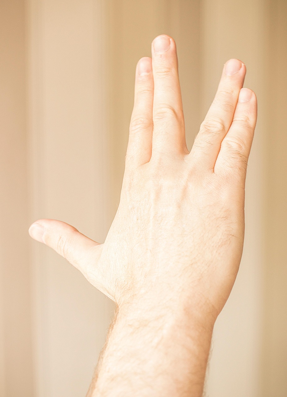 Split Fingers Expression Free photo on Pixabay Pixabay