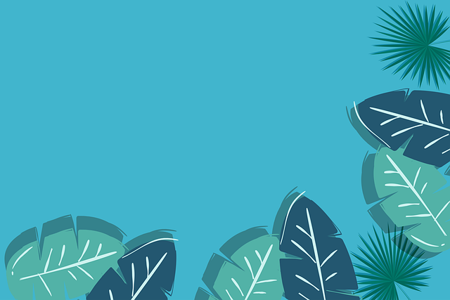 Download free HD stock image of Palm Leaves Free palm leaves border illustration