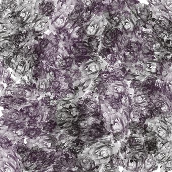 Hintergrund, Textur, Muster, Sukkulenten