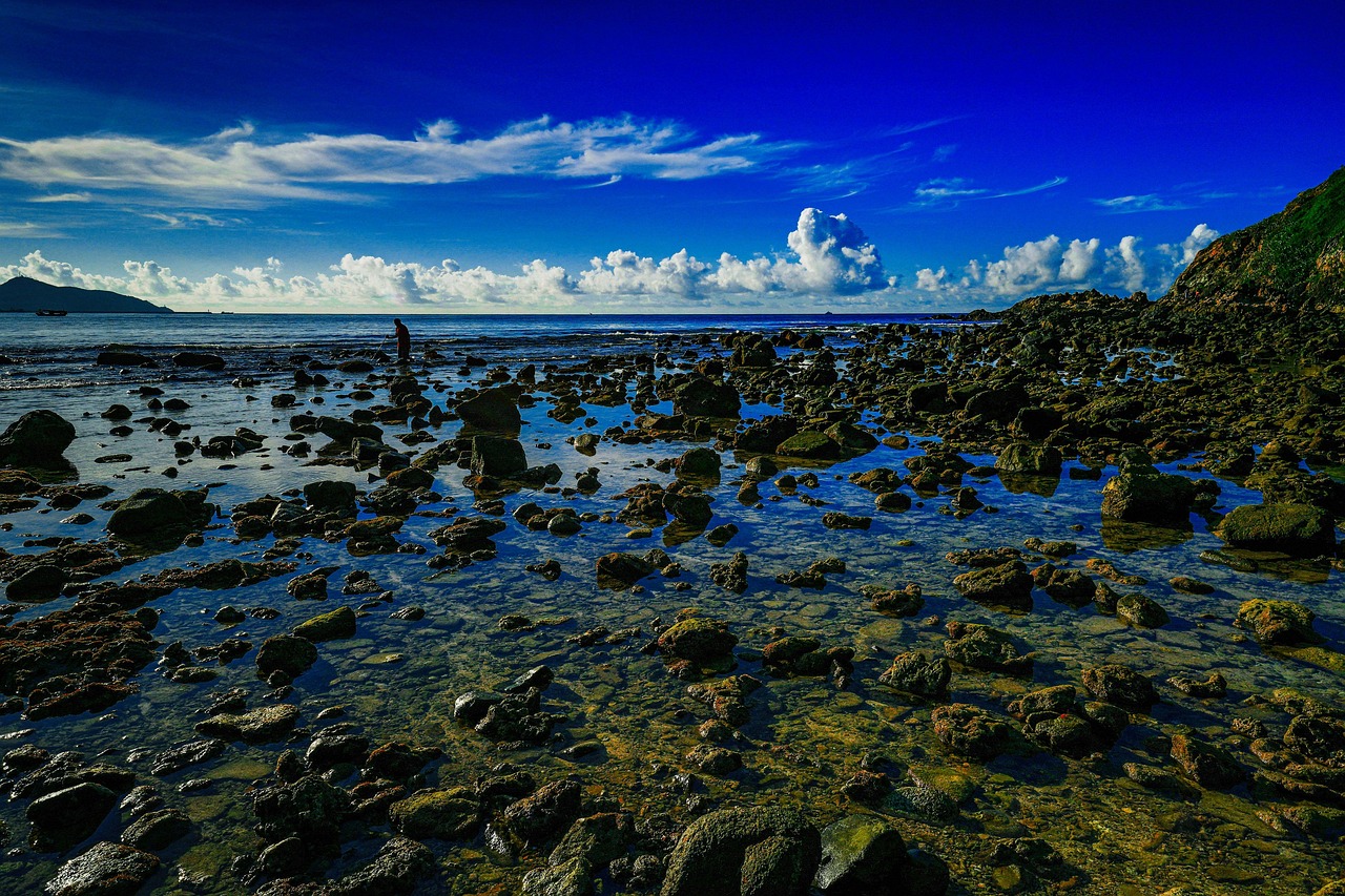 岩石 石滩 海岸 - Pixabay上的免费照片 - Pixabay