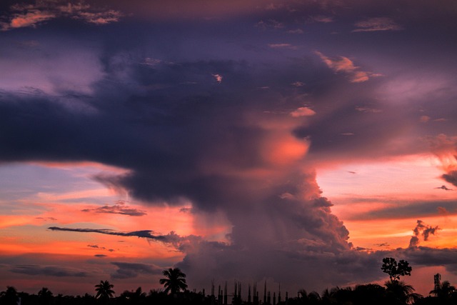 Free Silhouette Dusk photo and picture