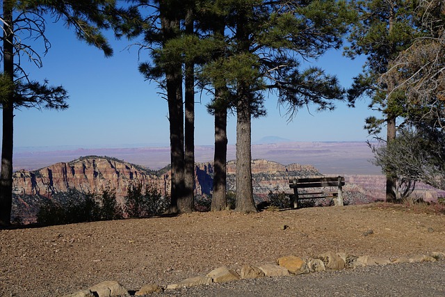 Free Grand Canyon Arizona photo and picture
