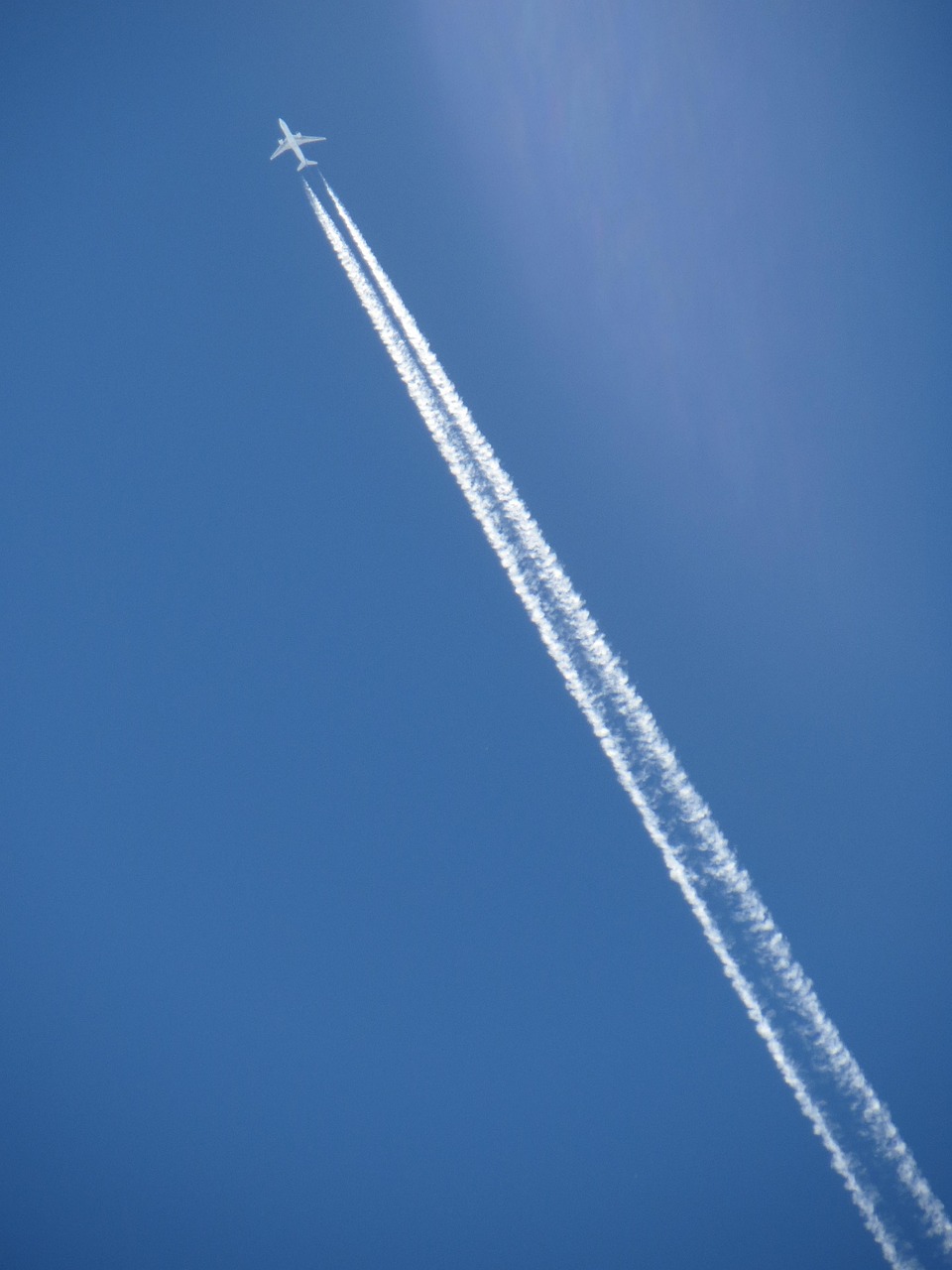 Plane Jet Darling Free photo on Pixabay Pixabay