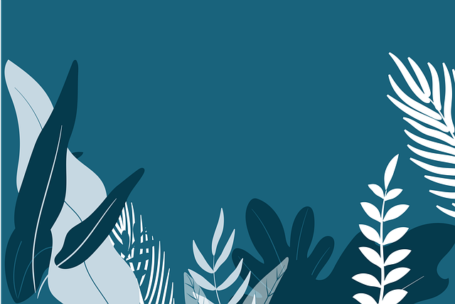 Download free HD stock image of Leaves Plants Free leaves plants ferns illustration