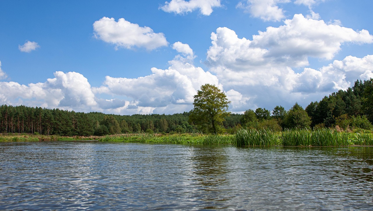 nature-landscape-outdoor-free-photo-on-pixabay-pixabay