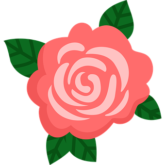 Rosa, Flor, Decoración, Decorativo