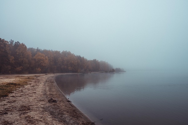 Free Fog Lake photo and picture