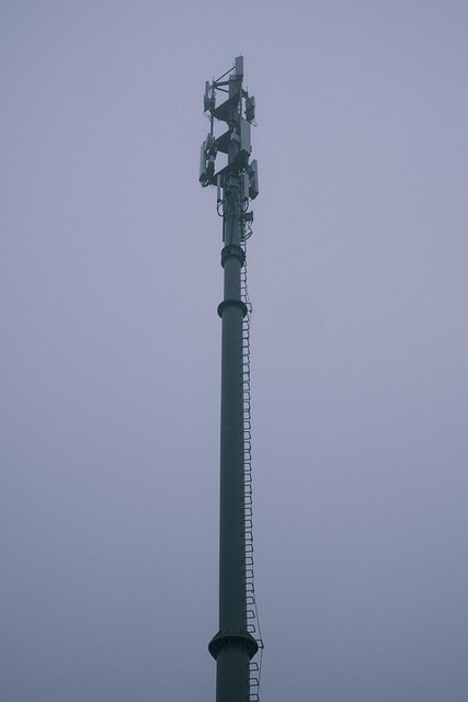 Free Tower Fog photo and picture