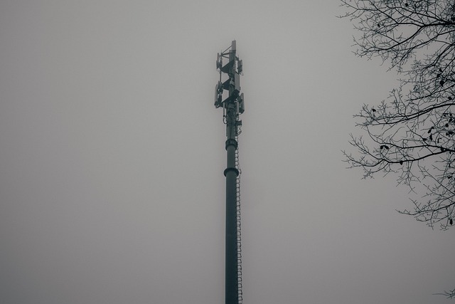 Free Tower Fog photo and picture