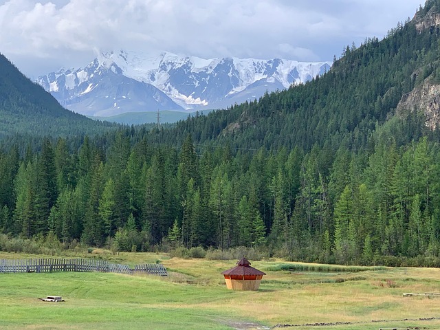 SIBERIAN ALTAI MOUNTAINS visual data 5