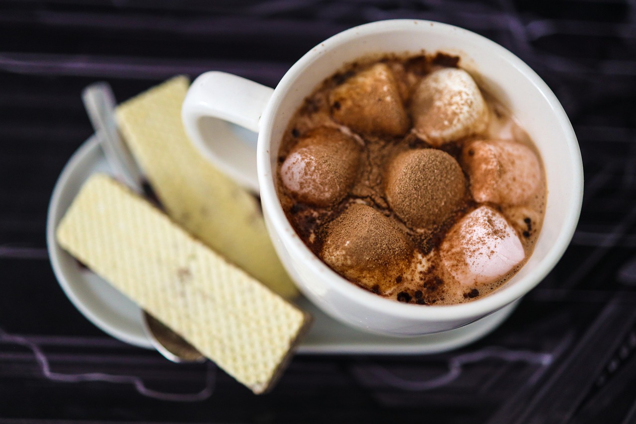 Drink Snack Hot Chocolate - Free photo on Pixabay - Pixabay