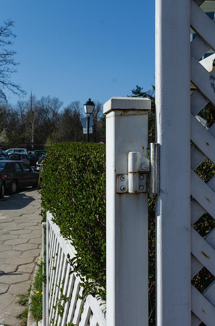 Free By Hinge Low Fence photo and picture