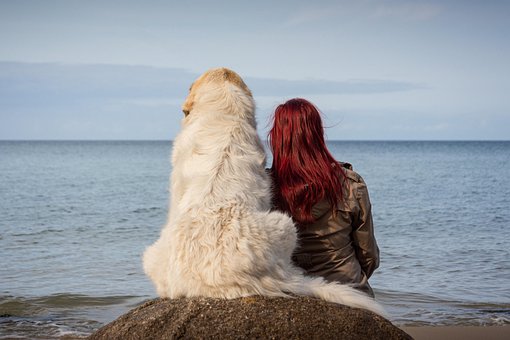 Hund, Frau, Freund, Haustier, Eigentümer