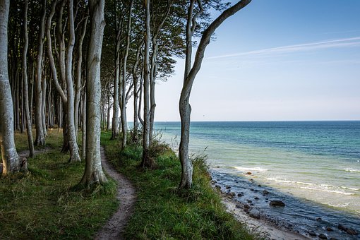 Meer, Strand, Bäume, Küste, Ufer, Ozean
